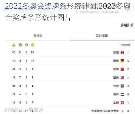 2022冬奥会奖牌条形统计图,2022冬奥会奖牌条形统计图片