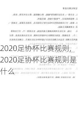 2020足协杯比赛规则,2020足协杯比赛规则是什么