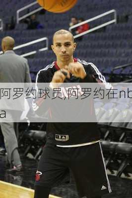 阿罗约球员,阿罗约在nba