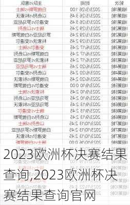 2023欧洲杯决赛结果查询,2023欧洲杯决赛结果查询官网