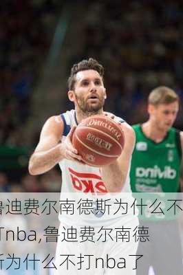 鲁迪费尔南德斯为什么不打nba,鲁迪费尔南德斯为什么不打nba了