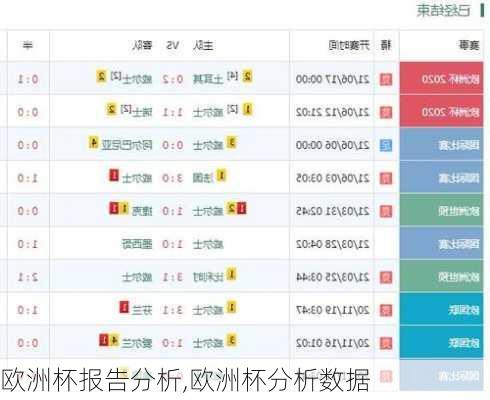 欧洲杯报告分析,欧洲杯分析数据