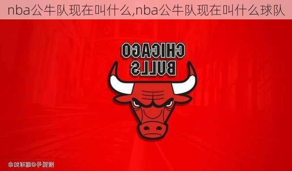 nba公牛队现在叫什么,nba公牛队现在叫什么球队