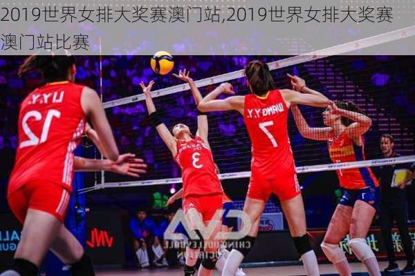 2019世界女排大奖赛澳门站,2019世界女排大奖赛澳门站比赛