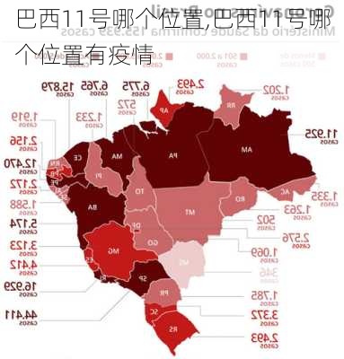 巴西11号哪个位置,巴西11号哪个位置有疫情