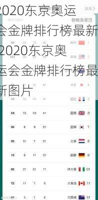 2020东京奥运会金牌排行榜最新,2020东京奥运会金牌排行榜最新图片